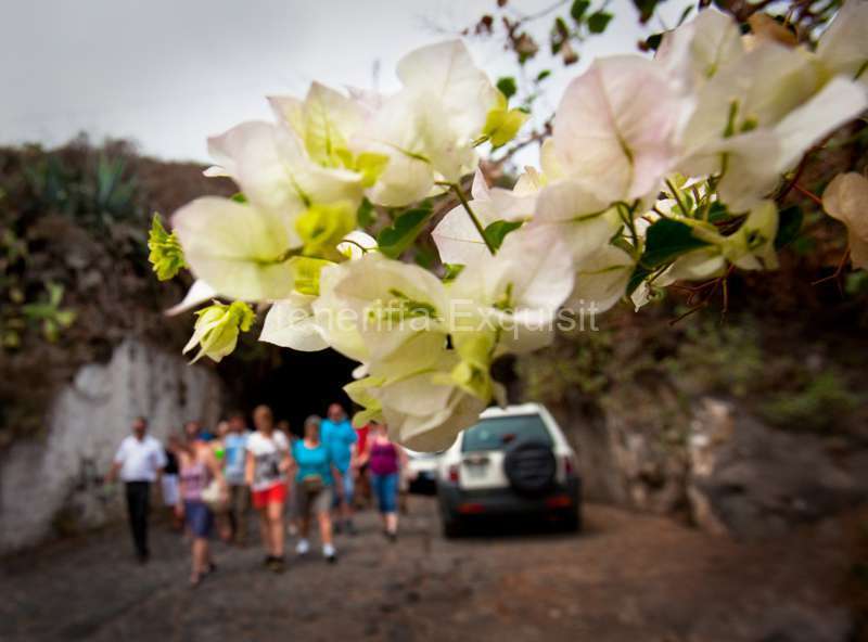 Teneriffa-Exquisit Urlaub mit Komfort und Luxus
VIP Tour Teide Masca